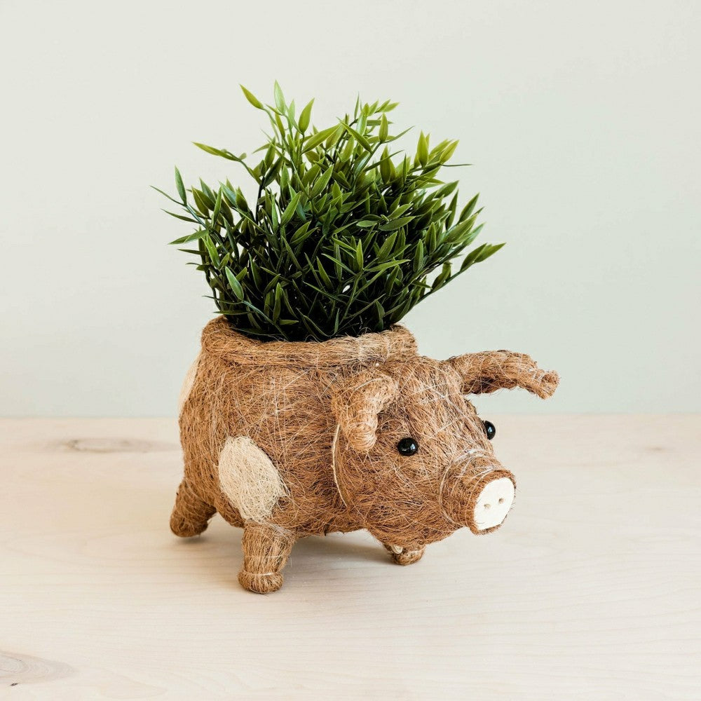 Pig Planter - Coco Coir Pots | Plow & Hearth