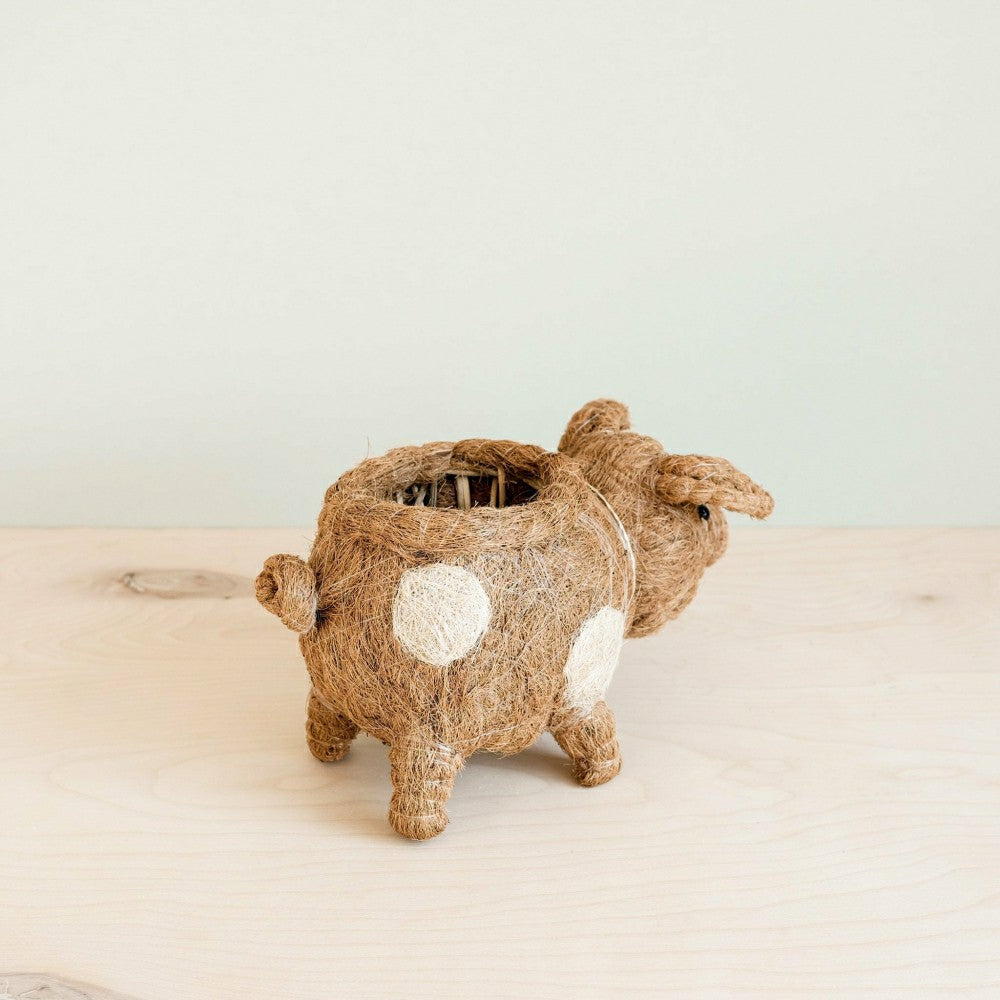 Pig Planter - Coco Coir Pots | Plow & Hearth
