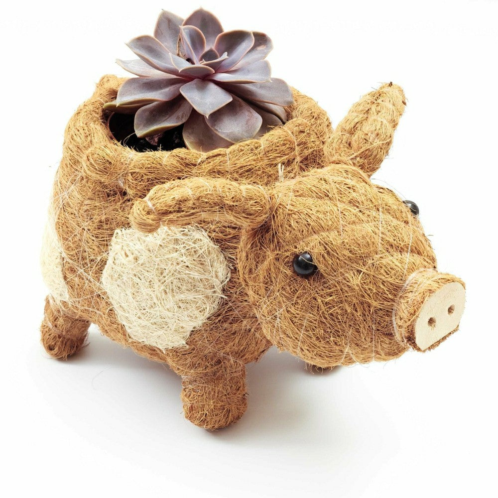 Pig Planter - Coco Coir Pots | Plow & Hearth