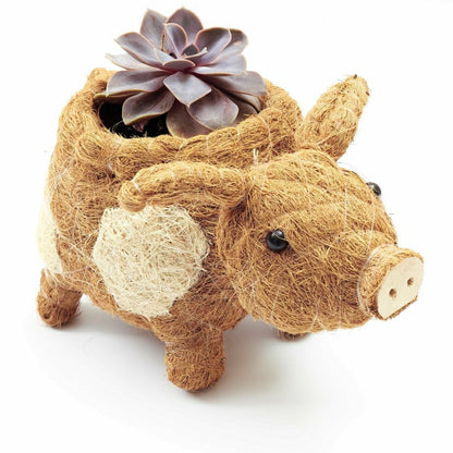 Pig Planter - Coco Coir Pots | Plow & Hearth