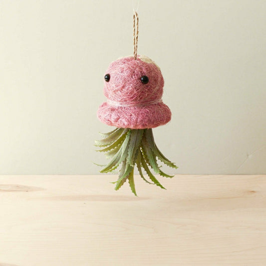 Octopus Planter for Air Plants - Handmade Hanging Planter | Plow & Hearth