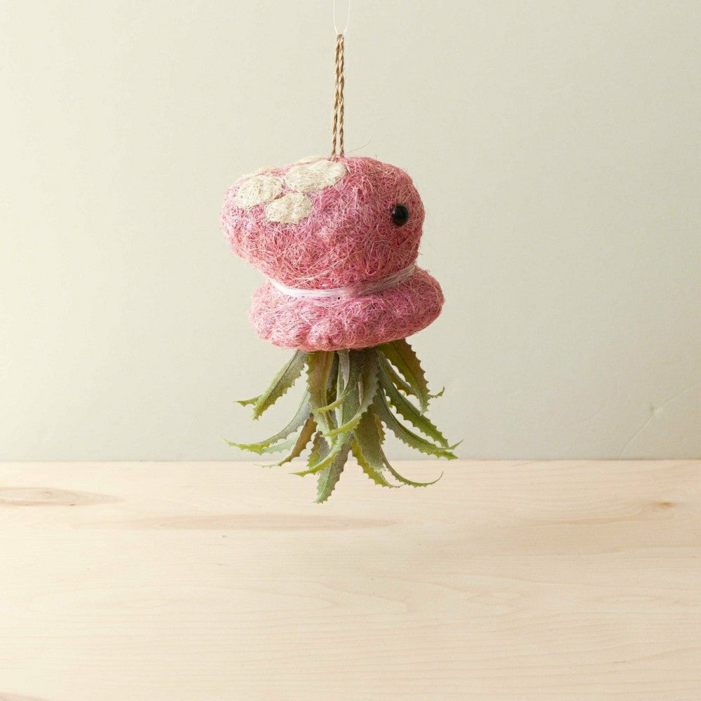 Octopus Planter for Air Plants - Handmade Hanging Planter | Plow & Hearth