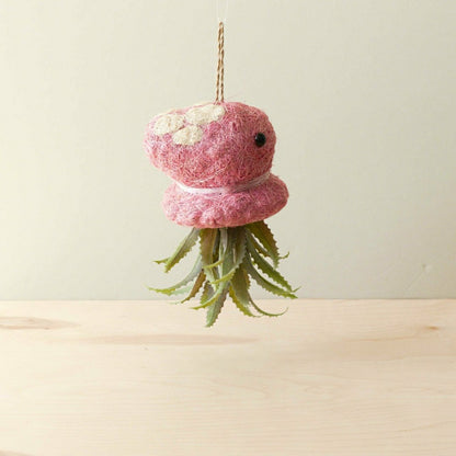 Octopus Planter for Air Plants - Handmade Hanging Planter | Plow & Hearth