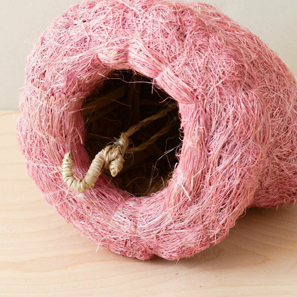 Octopus Planter for Air Plants - Handmade Hanging Planter | Plow & Hearth