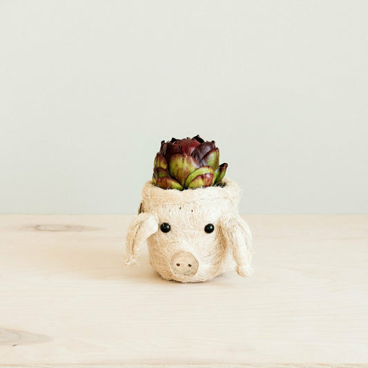 Pig Plant Pot - Animal Head Plant Pot | Plow & Hearth