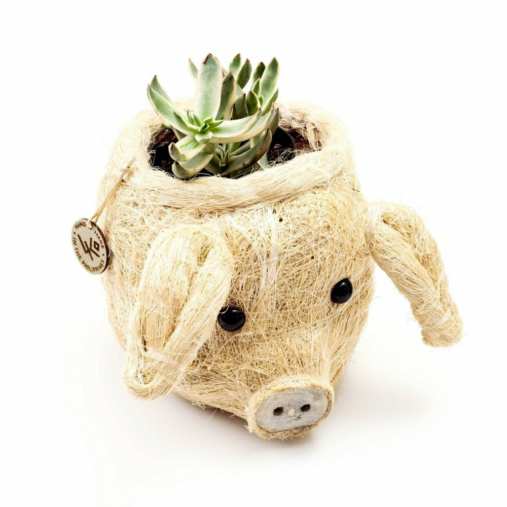 Pig Plant Pot - Animal Head Plant Pot | Plow & Hearth