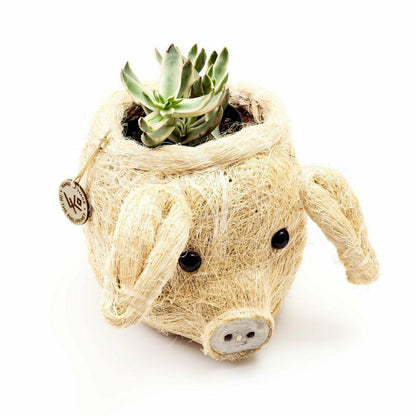 Pig Plant Pot - Animal Head Plant Pot | Plow & Hearth