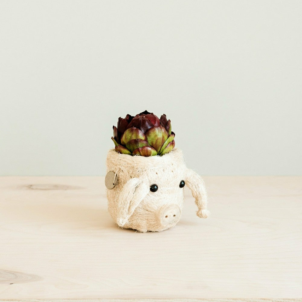 Pig Plant Pot - Animal Head Plant Pot | Plow & Hearth
