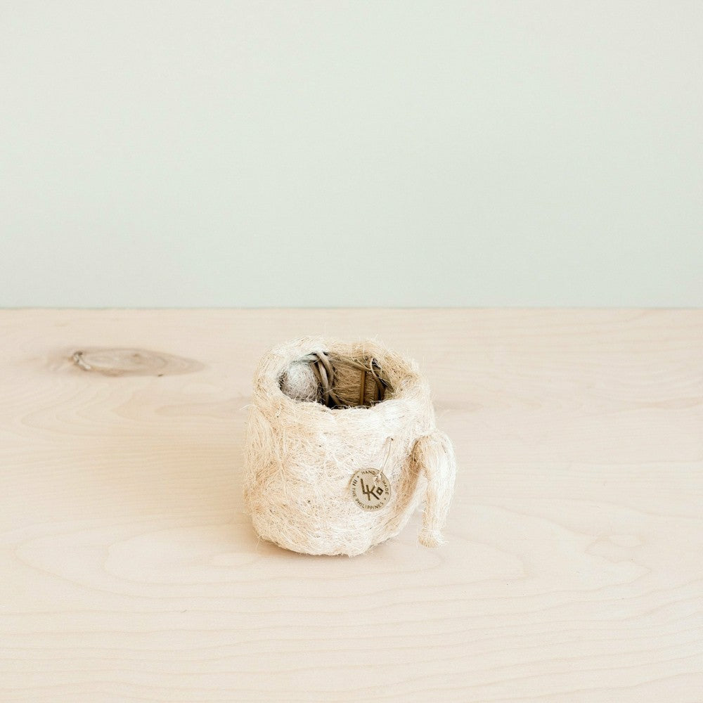 Pig Plant Pot - Animal Head Plant Pot | Plow & Hearth