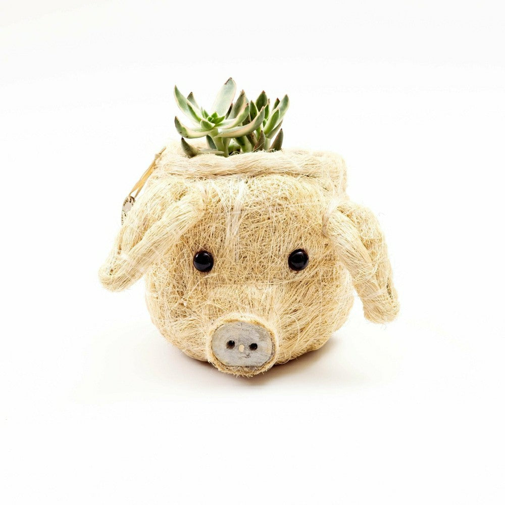 Pig Plant Pot - Animal Head Plant Pot | Plow & Hearth