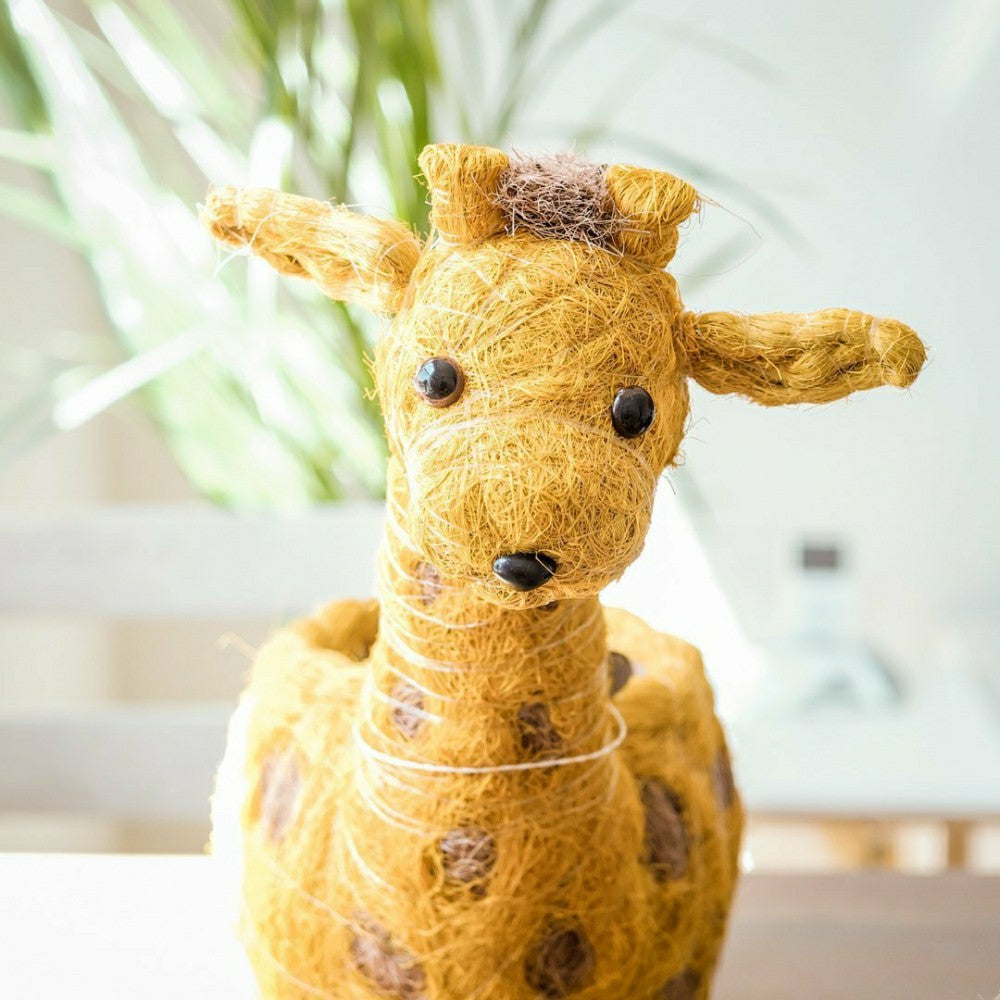 Giraffe Planter - Coco Coir Planter | Plow & Hearth