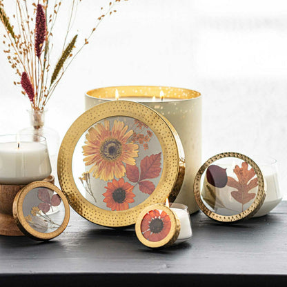 Harvest Pumpkin Large Pressed Floral Candle | Plow & Hearth