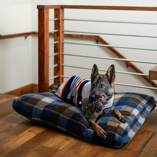 Pendleton Berber Pet Napper | Plow & Hearth