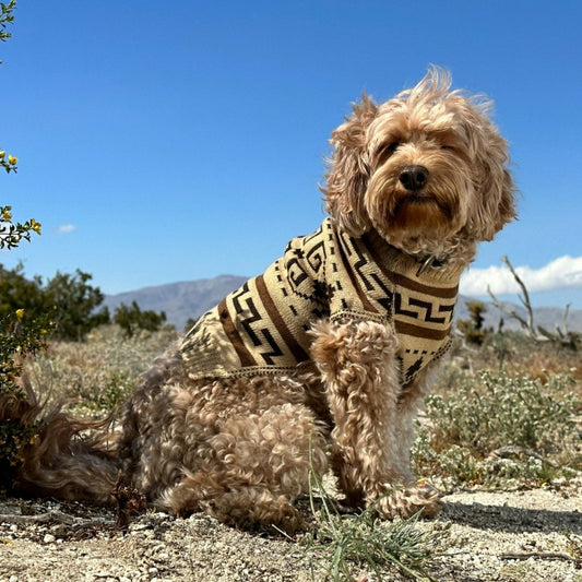 Pendleton Knitted Dog Sweater | Plow & Hearth