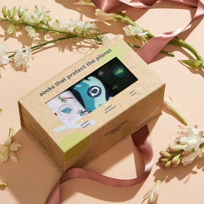 Protect the Planet Gift Box | Plow & Hearth