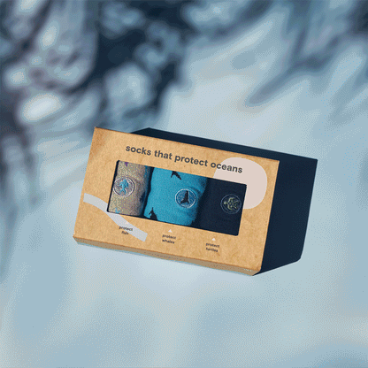 Protect Oceans Gift Box | Plow & Hearth