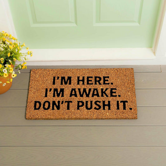 I'm Here. I'm Awake. Coir Mat | Plow & Hearth