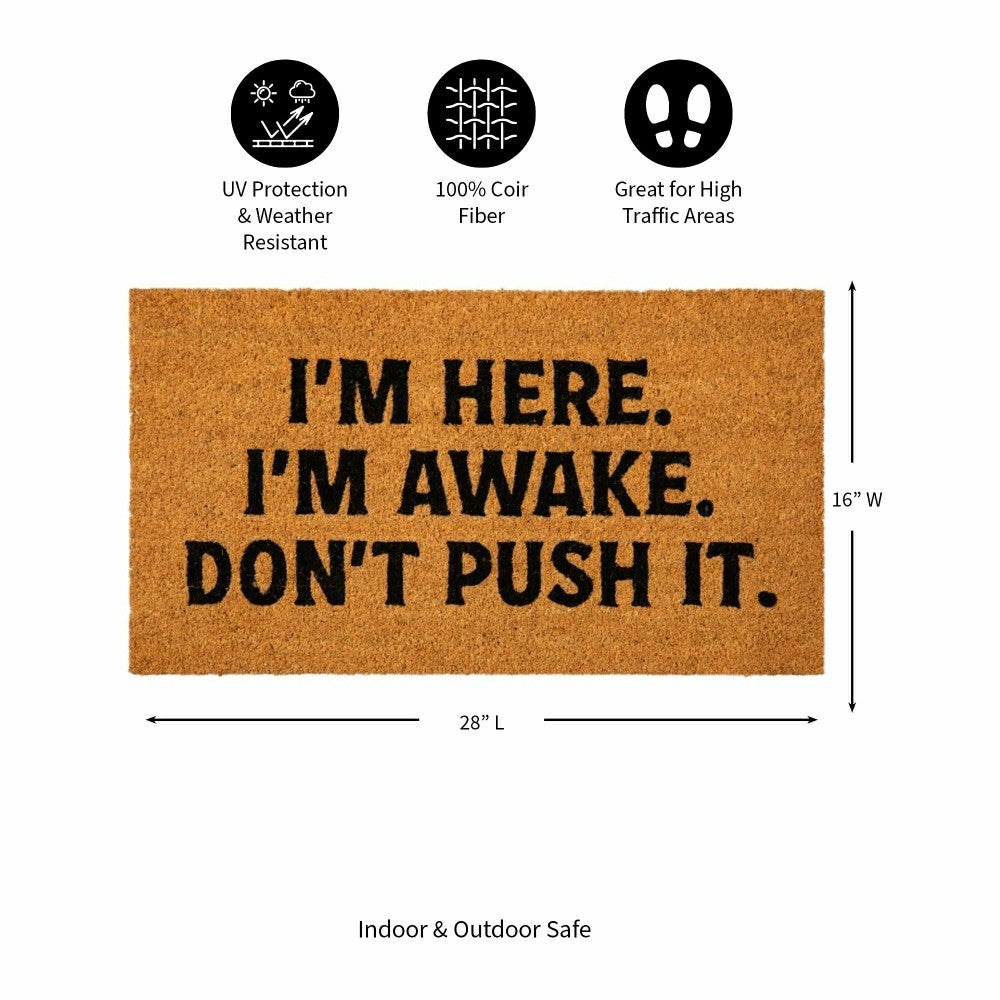 I'm Here. I'm Awake. Coir Mat | Plow & Hearth
